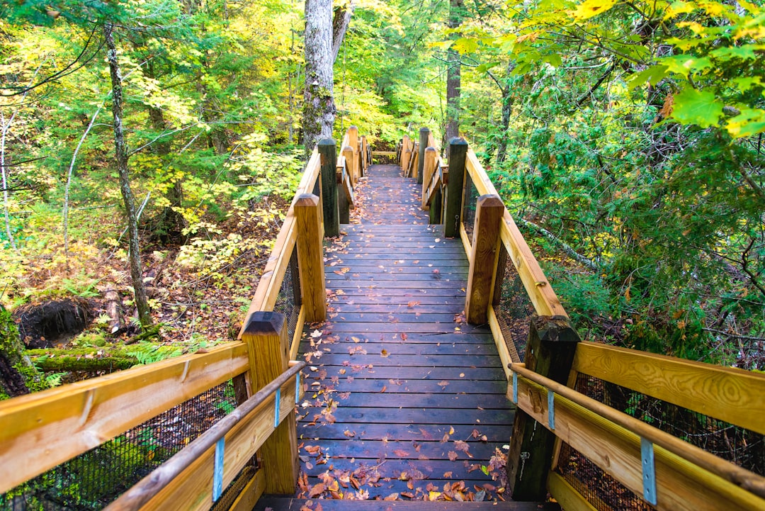 Start Earning Online in Italy